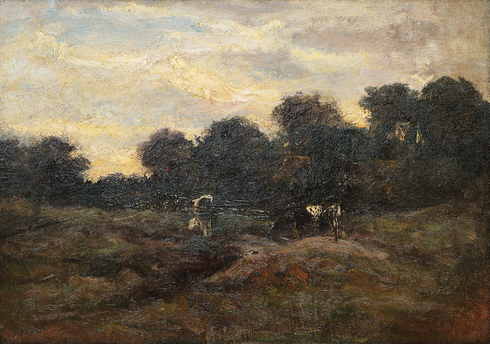 Коровы на лугу